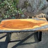 Walnut Coffee Table