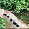Wine Holders