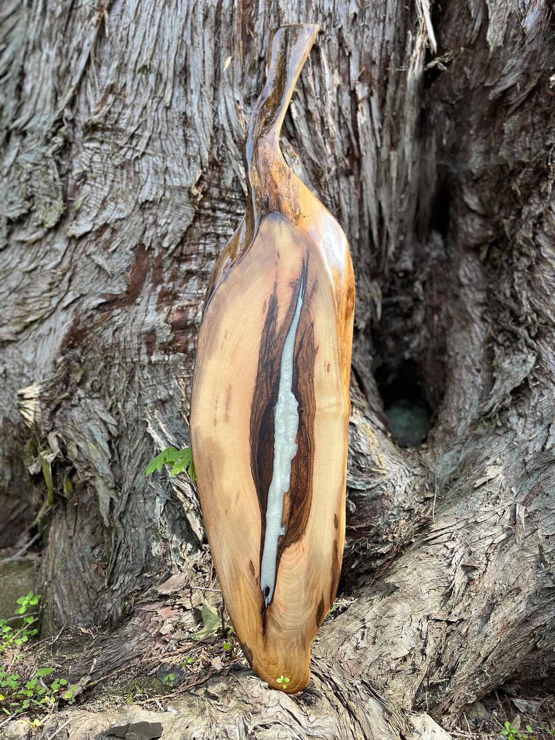 Edge Charcuterie Paddle